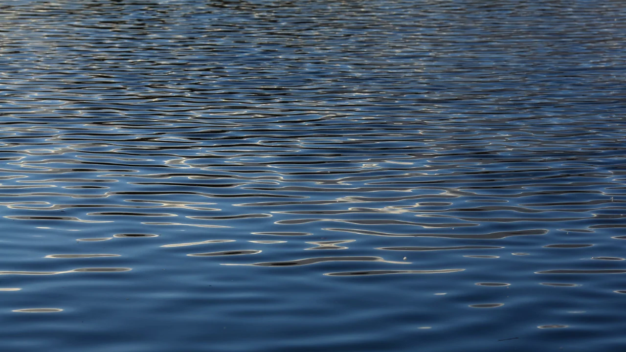 What role does hydrological science play in the age of machine learning?